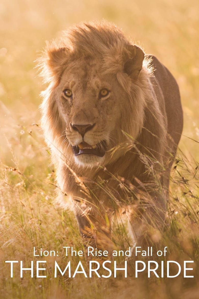 Poster of Lion: The Rise and Fall of the Marsh Pride