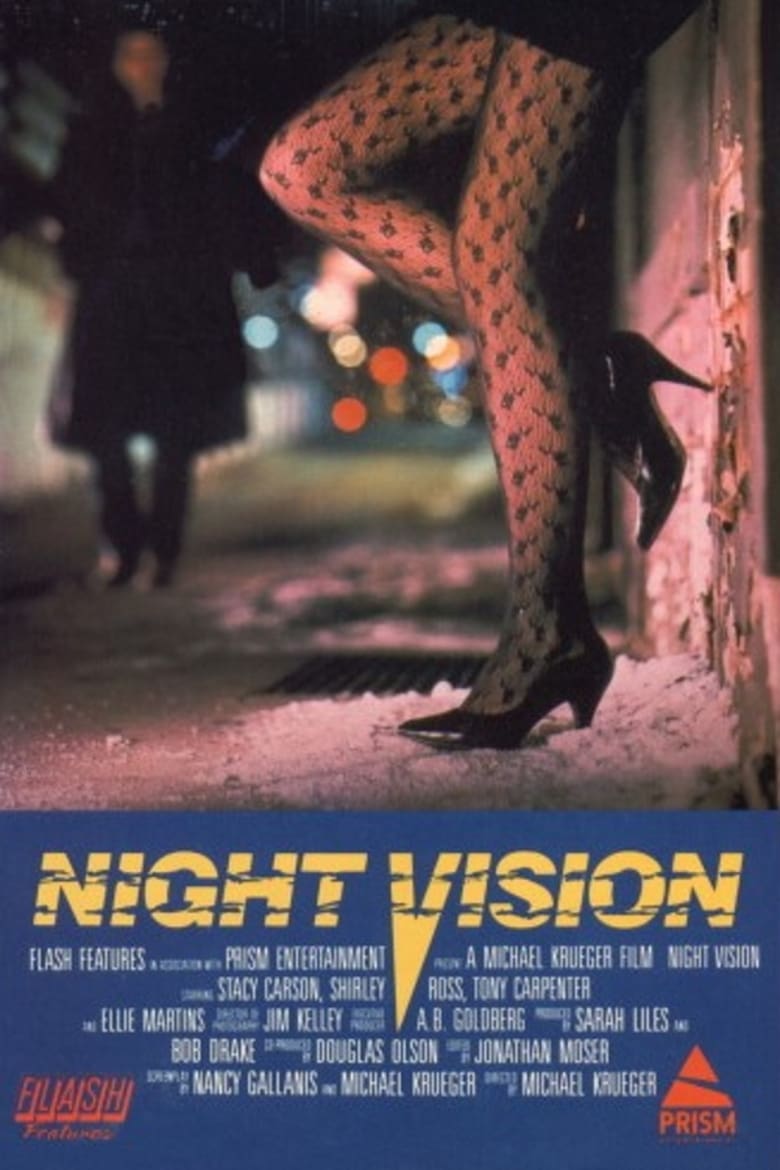 Poster of Night Vision