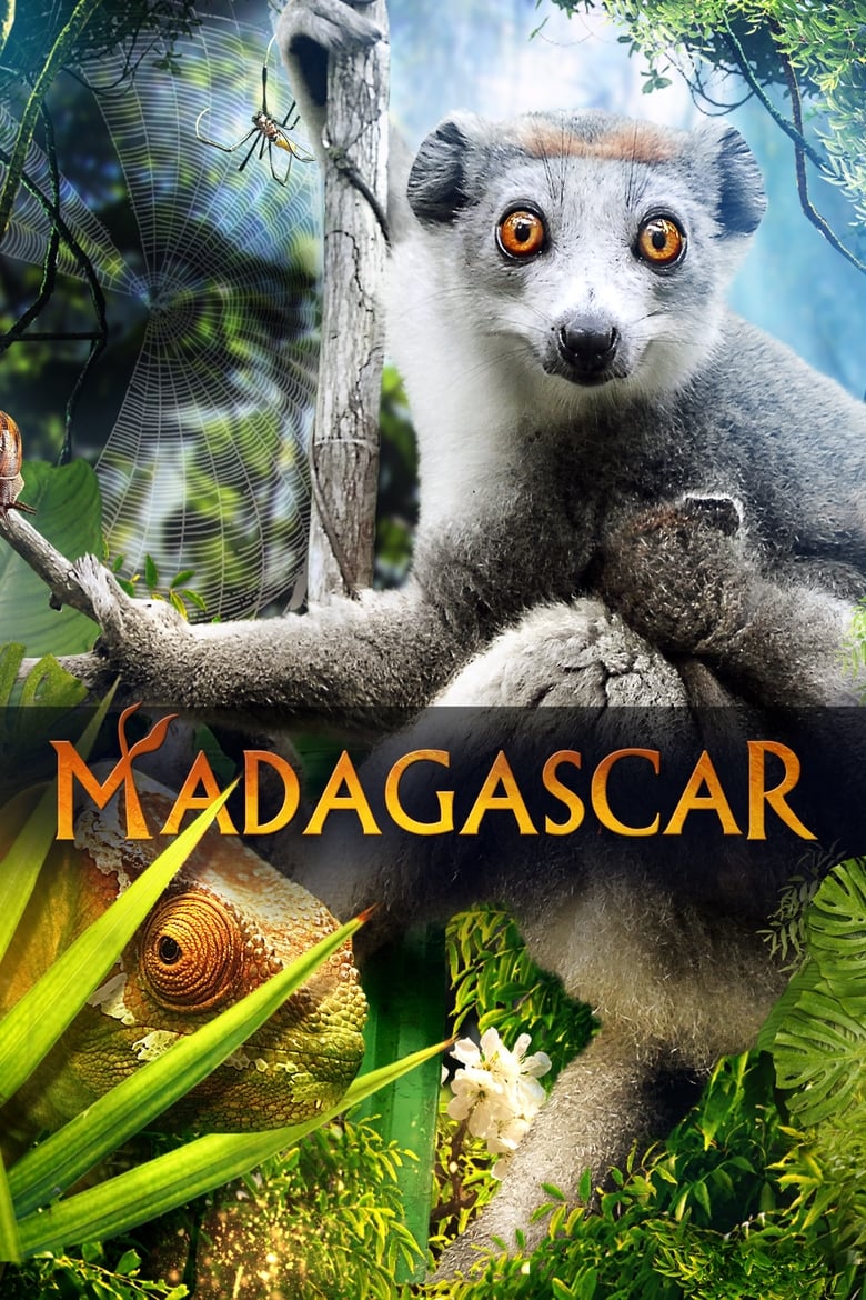 Poster of Madagascar 3D