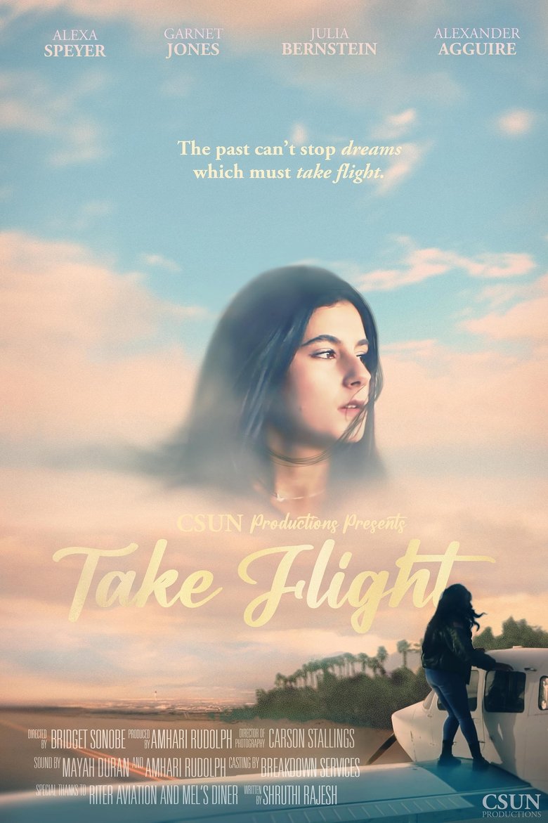 Poster of Take Flight