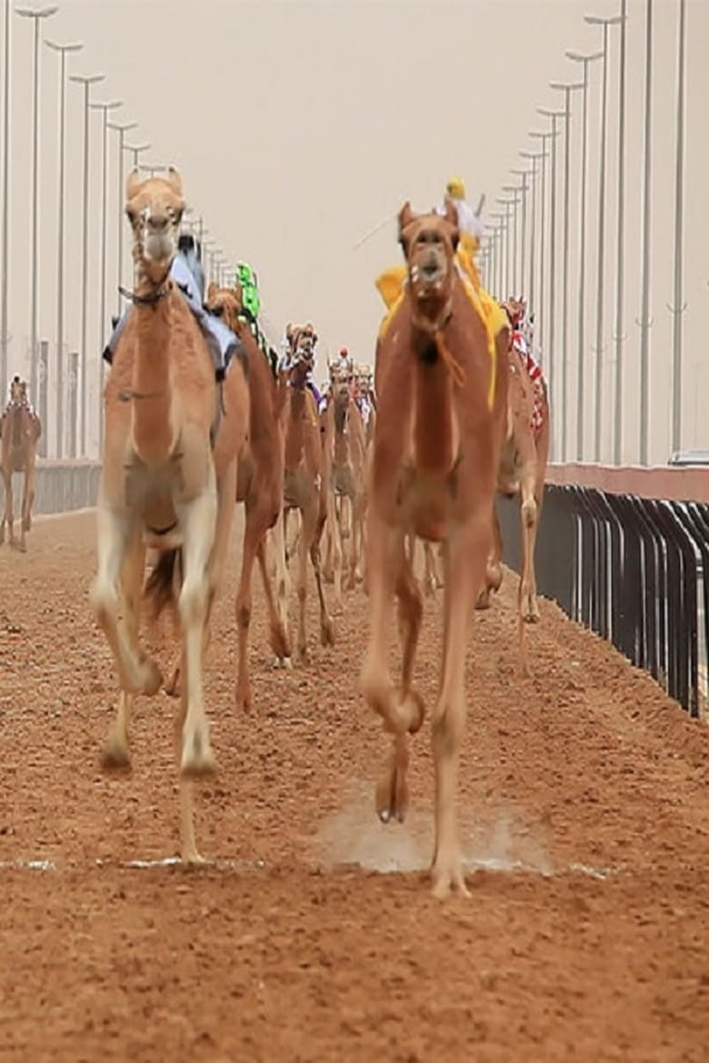 Poster of The Camel Race