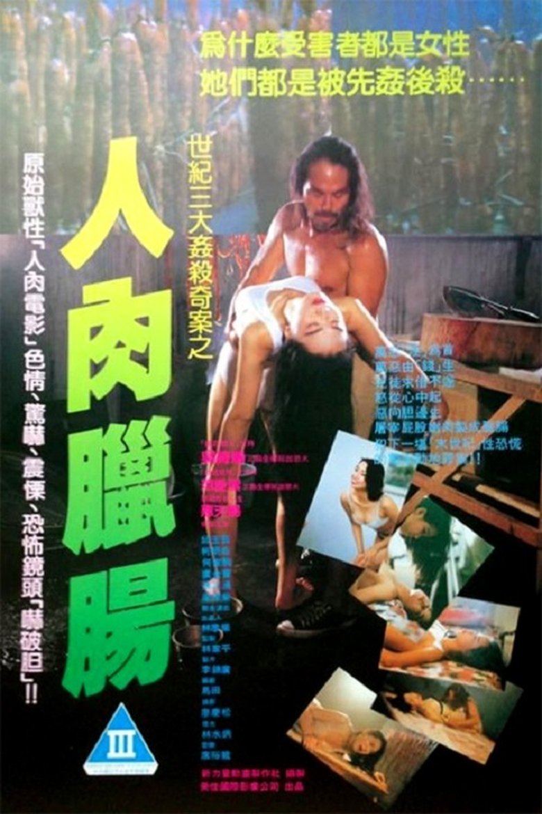 Poster of The Unpublicizable File