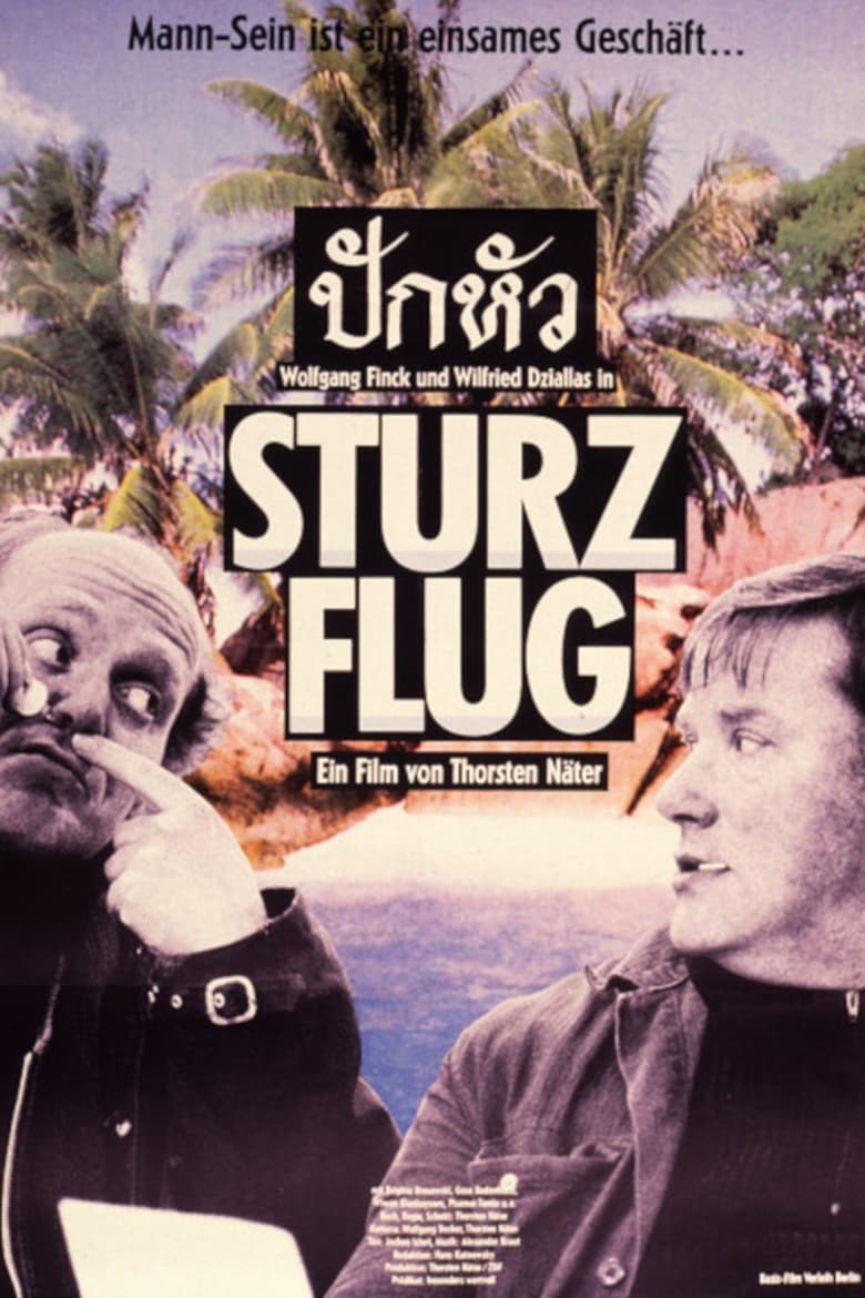 Poster of Sturzflug