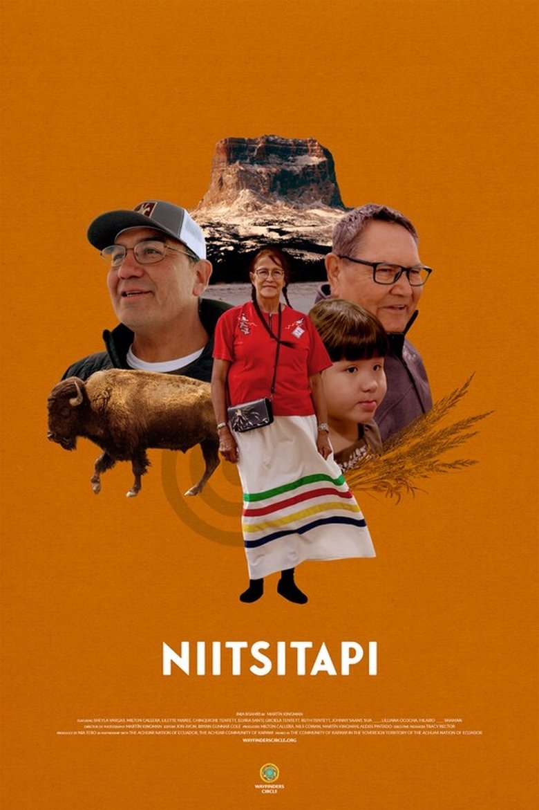 Poster of Niitsitapi