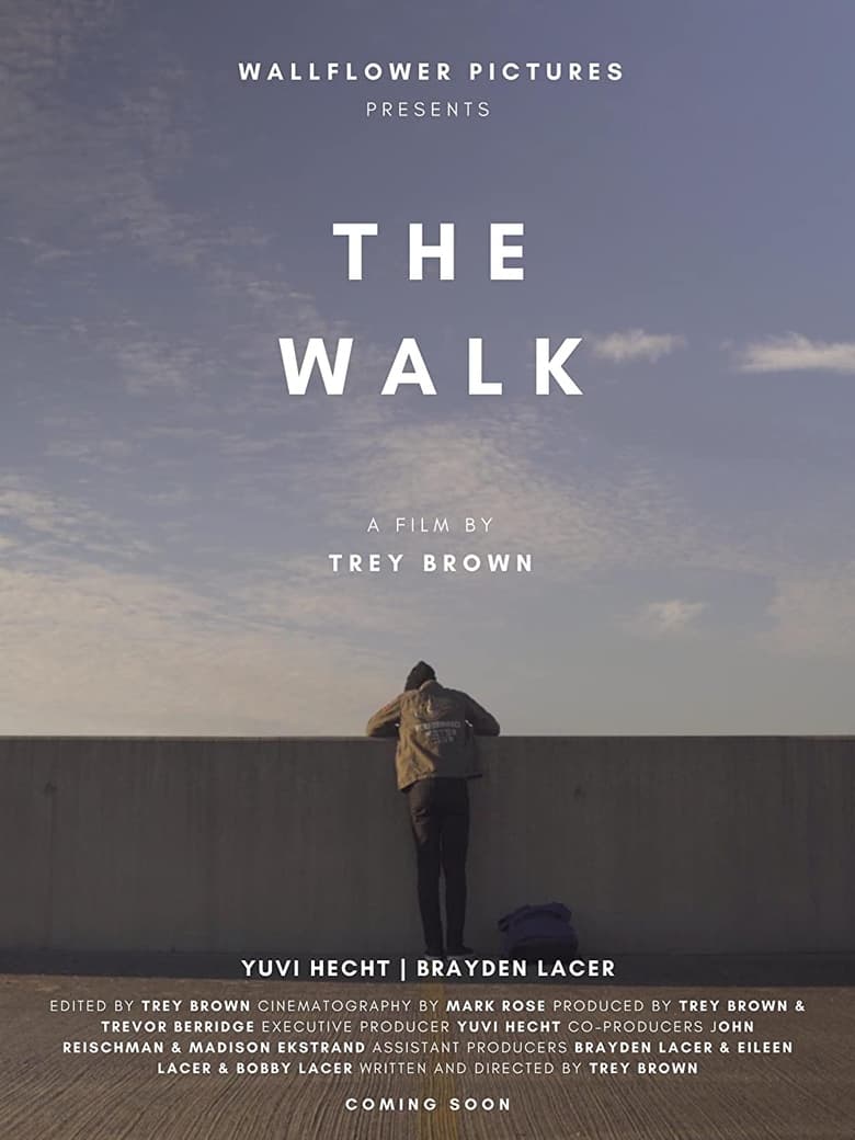 Poster of The Walk