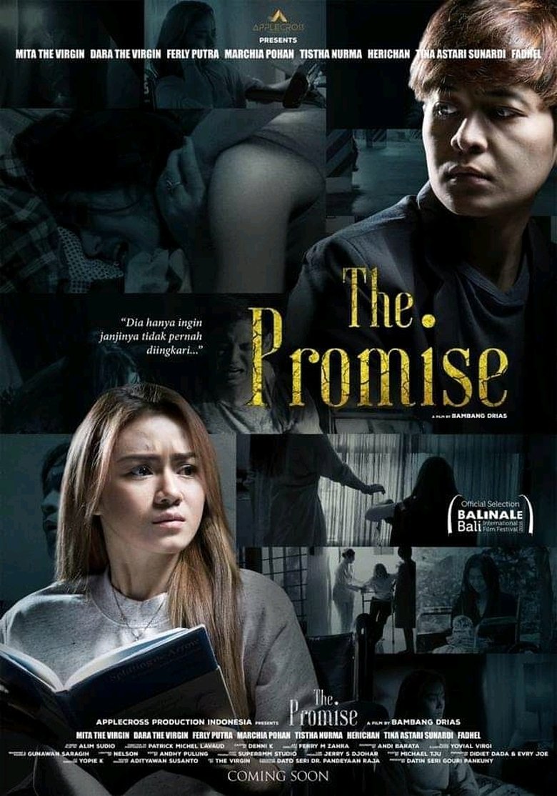 Poster of The Promise