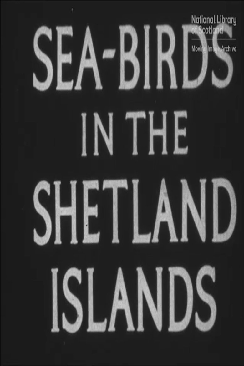 Poster of Seabirds in the Shetland Islands