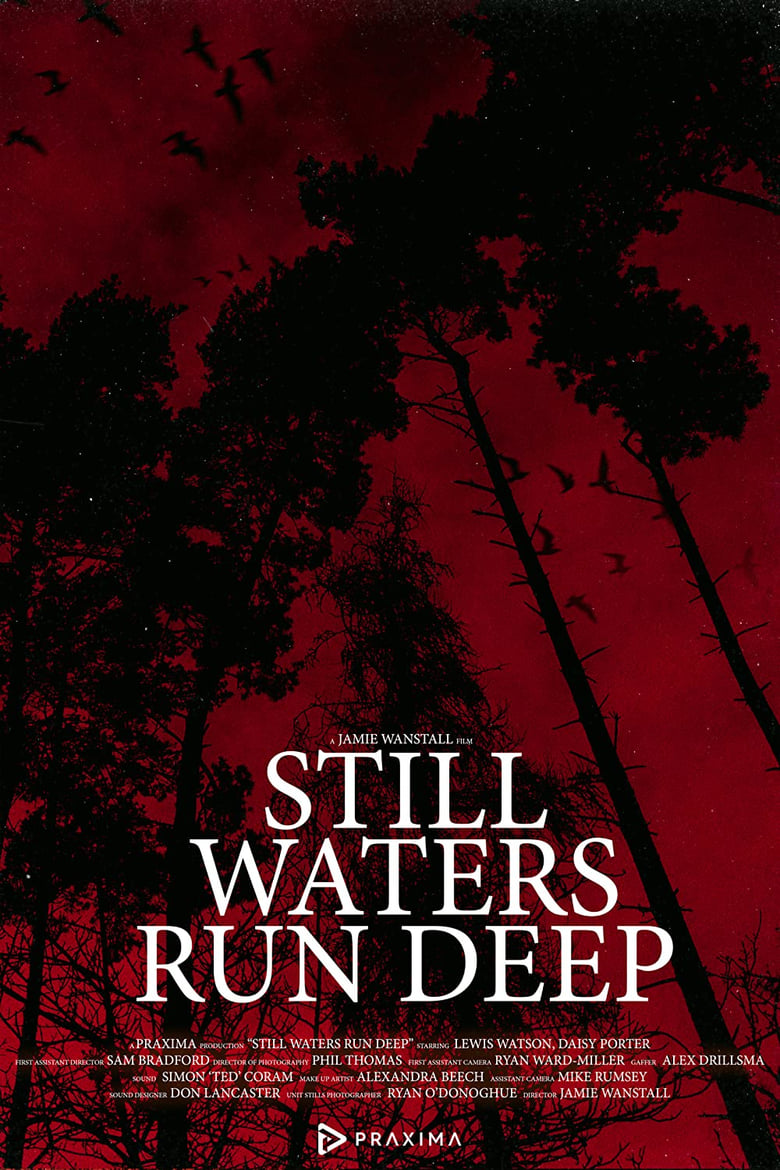 Poster of Still Waters Run Deep