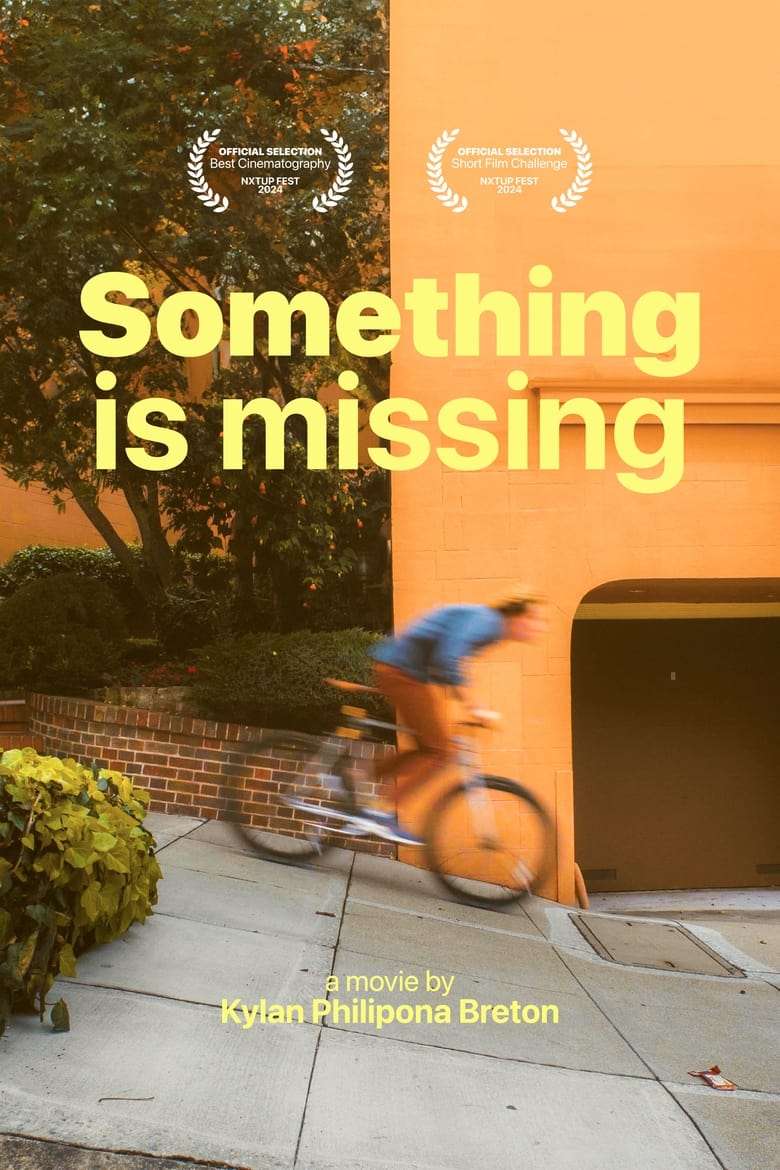 Poster of Something is missing