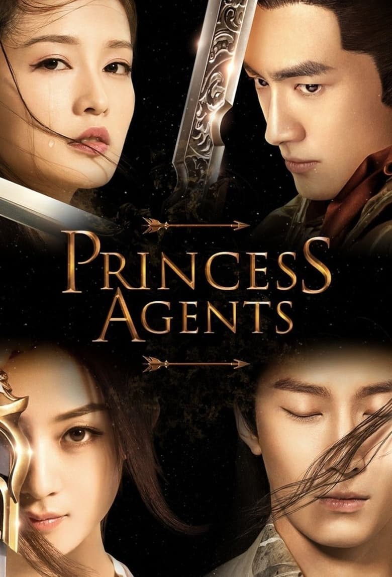 Poster of Princess Agents