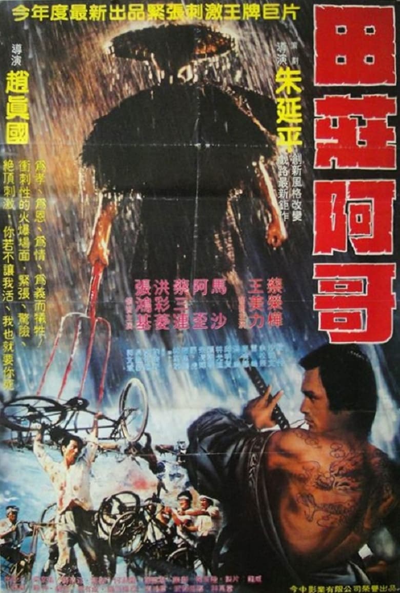 Poster of The Village Brother