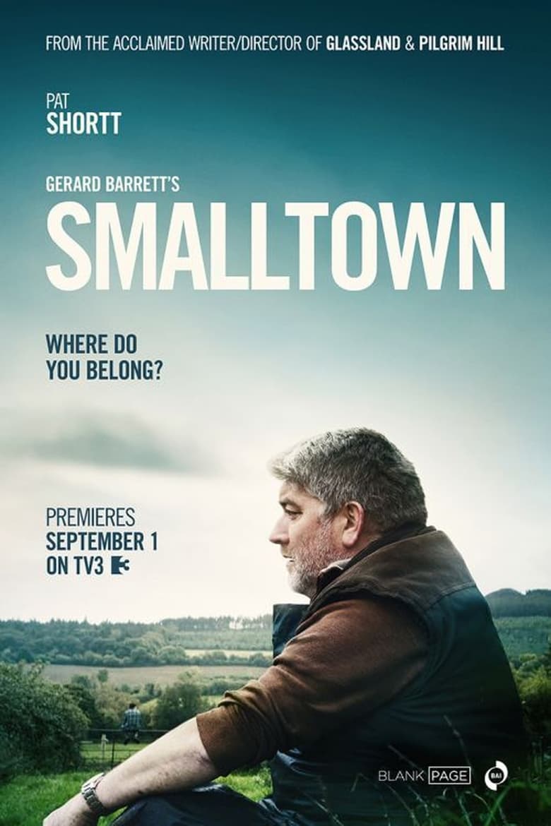 Poster of Smalltown