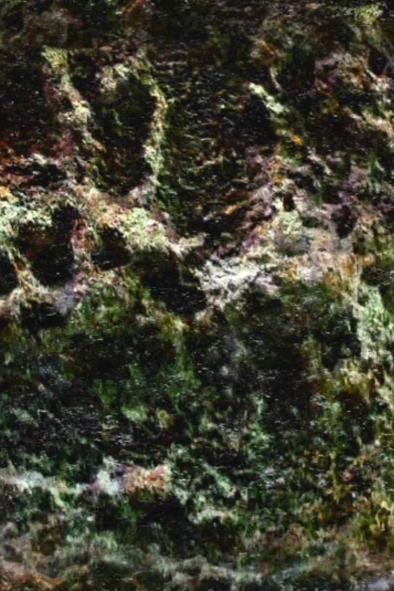 Poster of Half-Real