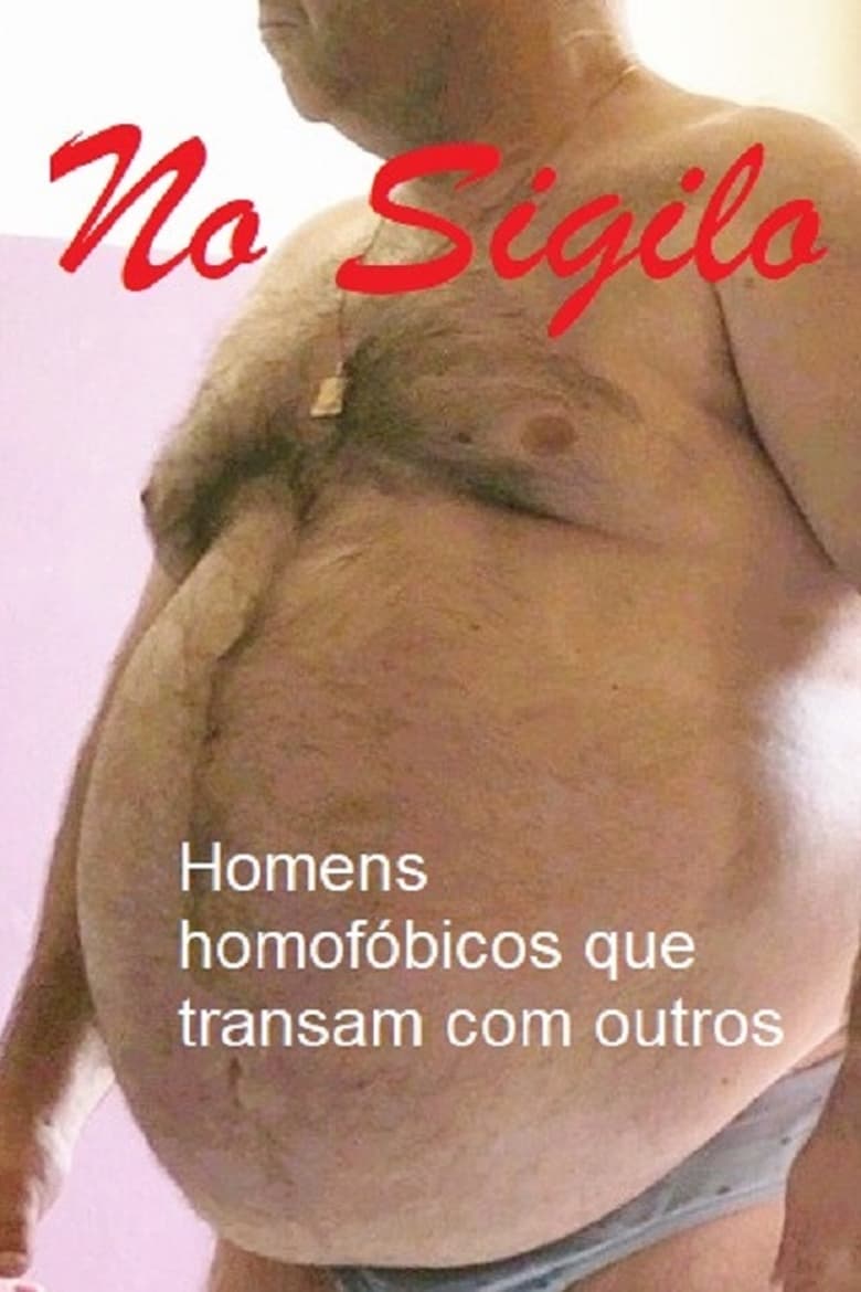 Poster of No Sigilo