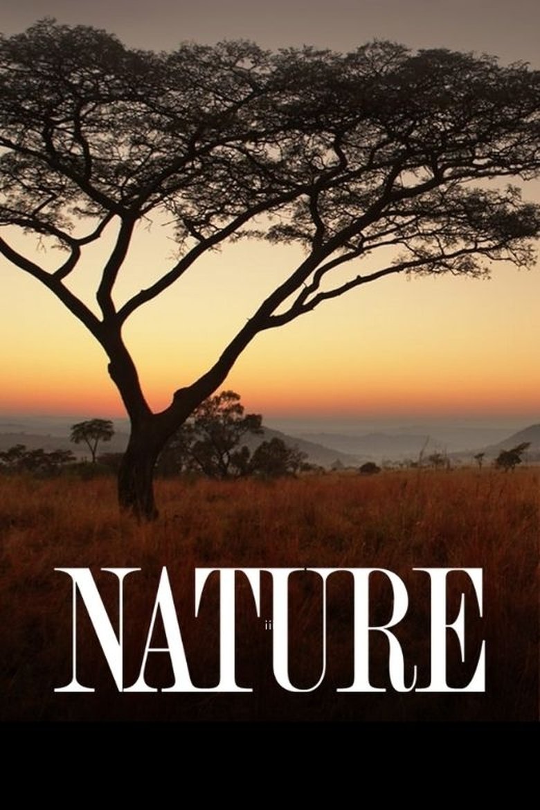 Poster of Nature