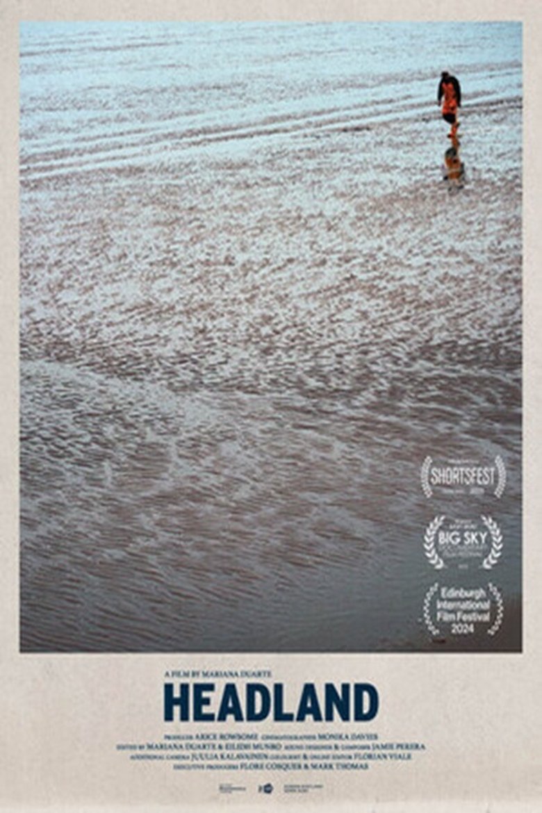 Poster of Headland