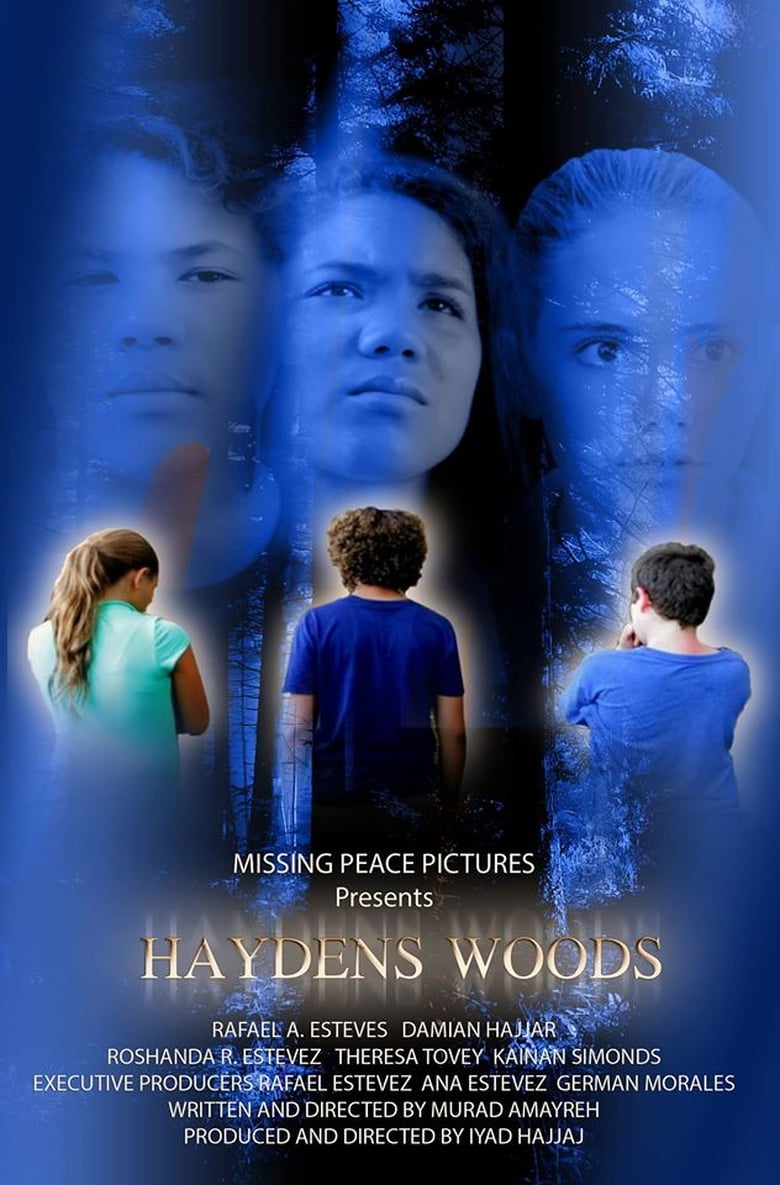 Poster of Haydens Woods