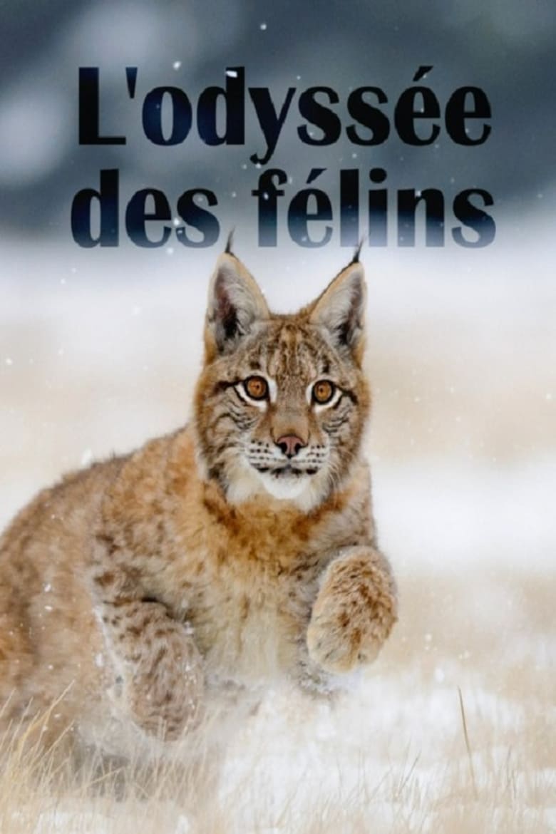 Poster of The Odyssey Of Felines