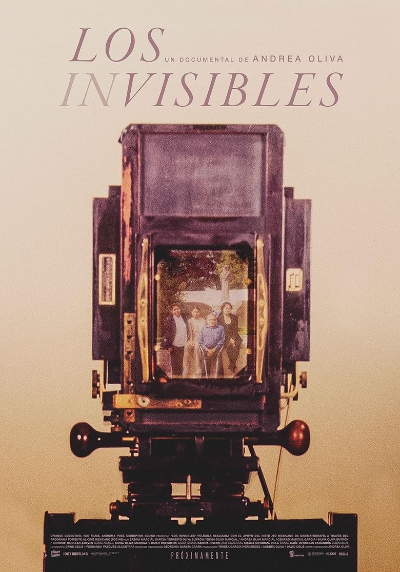 Poster of The Invisibles