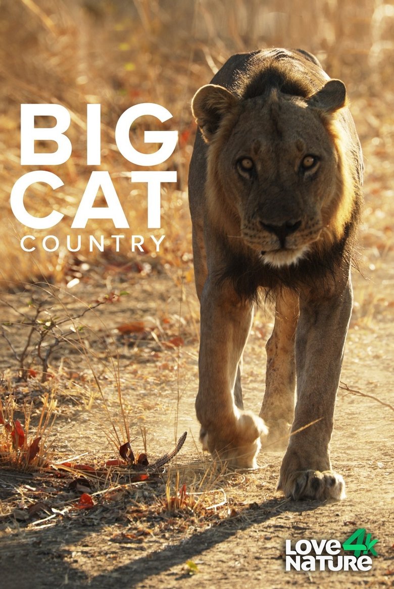 Poster of Episodes in Big Cat Country - Season 1 - Season 1