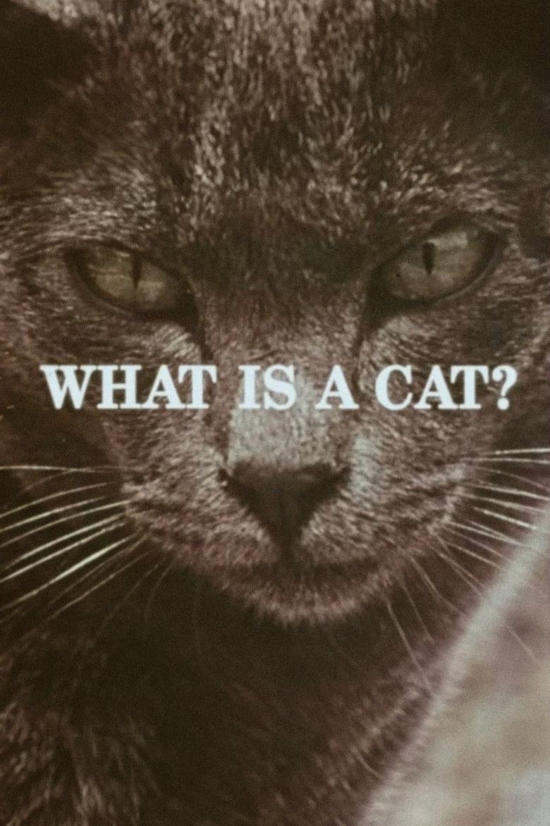 Poster of What Is a Cat?