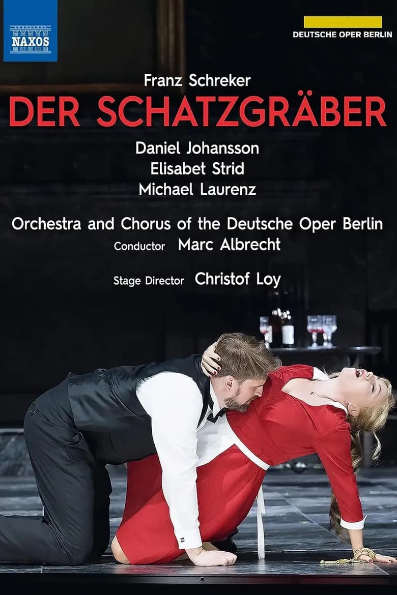 Poster of Der Schatzgräber