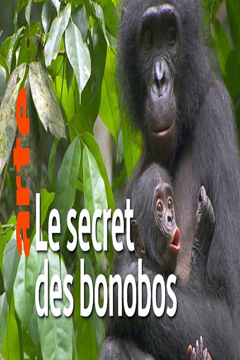 Poster of La vie cachée des bonobos