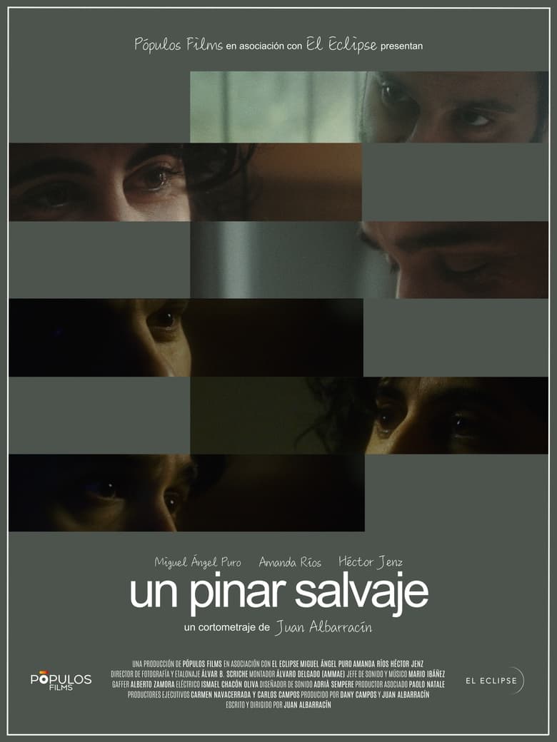 Poster of Un pinar salvaje