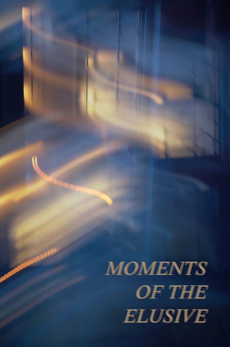 Poster of Moments of the Elusive