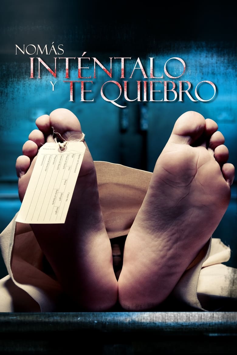 Poster of Nomás inténtalo y te quiebro