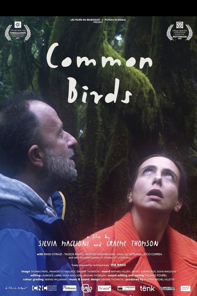 Poster of Common Birds