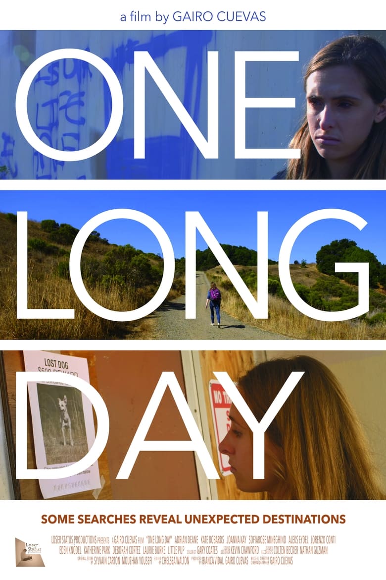 Poster of One Long Day