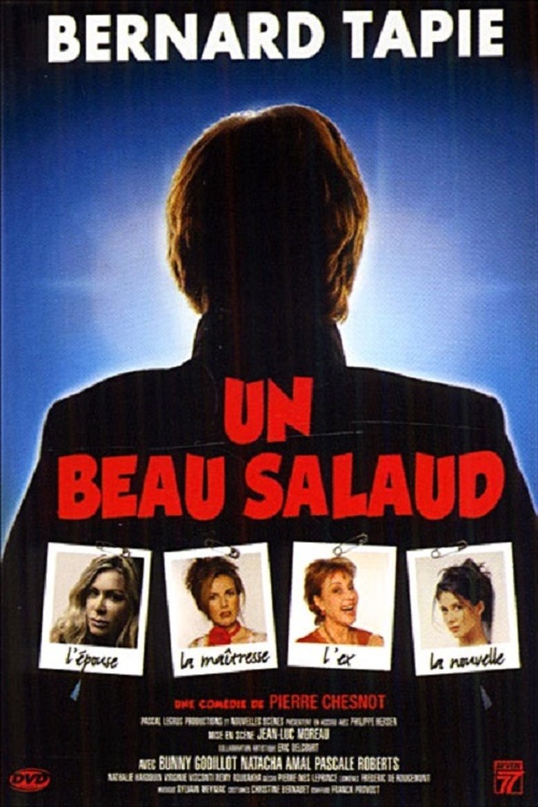 Poster of Un beau salaud