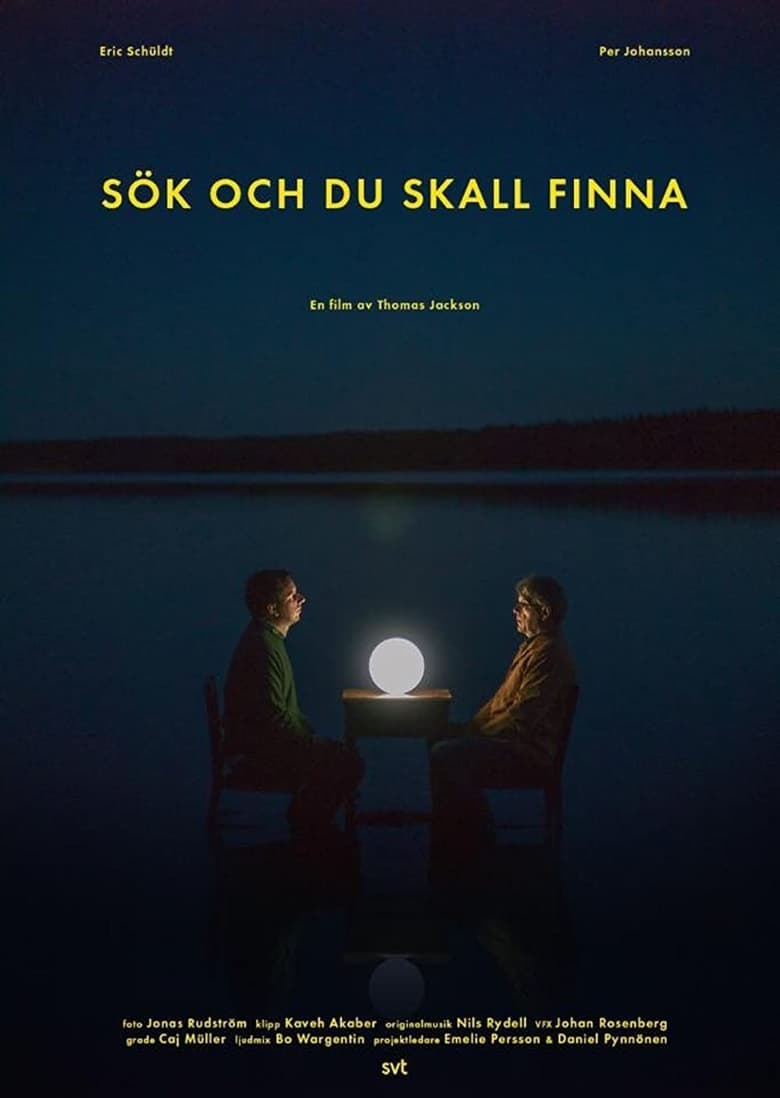 Poster of Sök och du skall finna