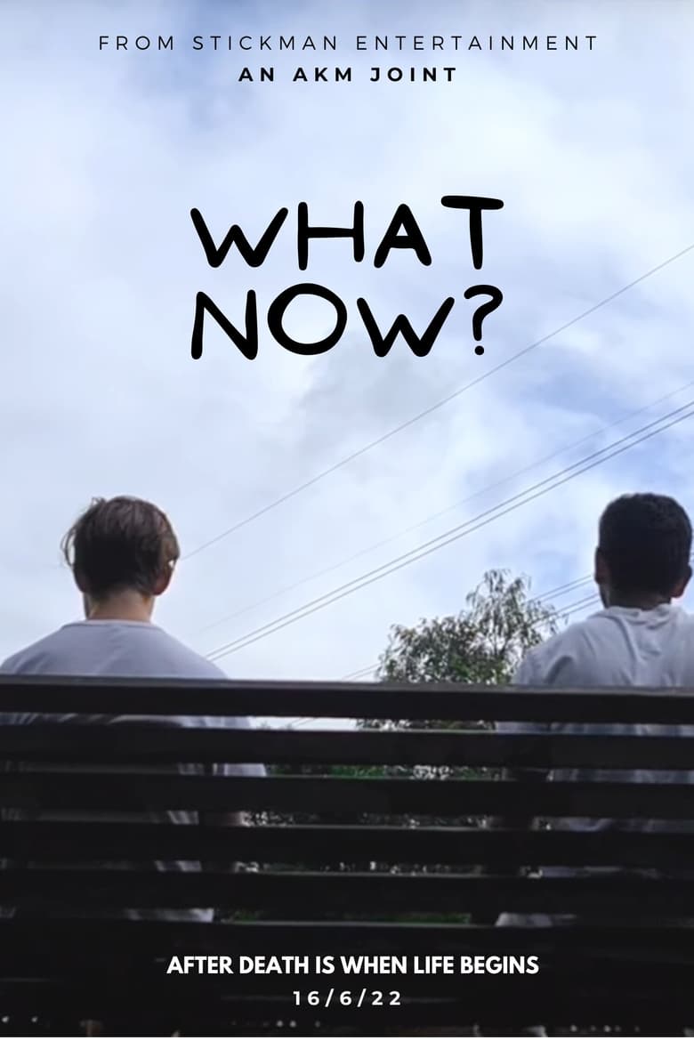 Poster of What Now?