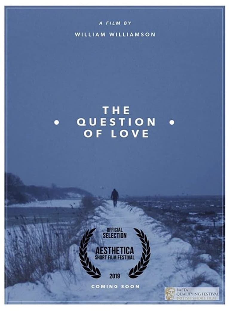 Poster of The Question of Love