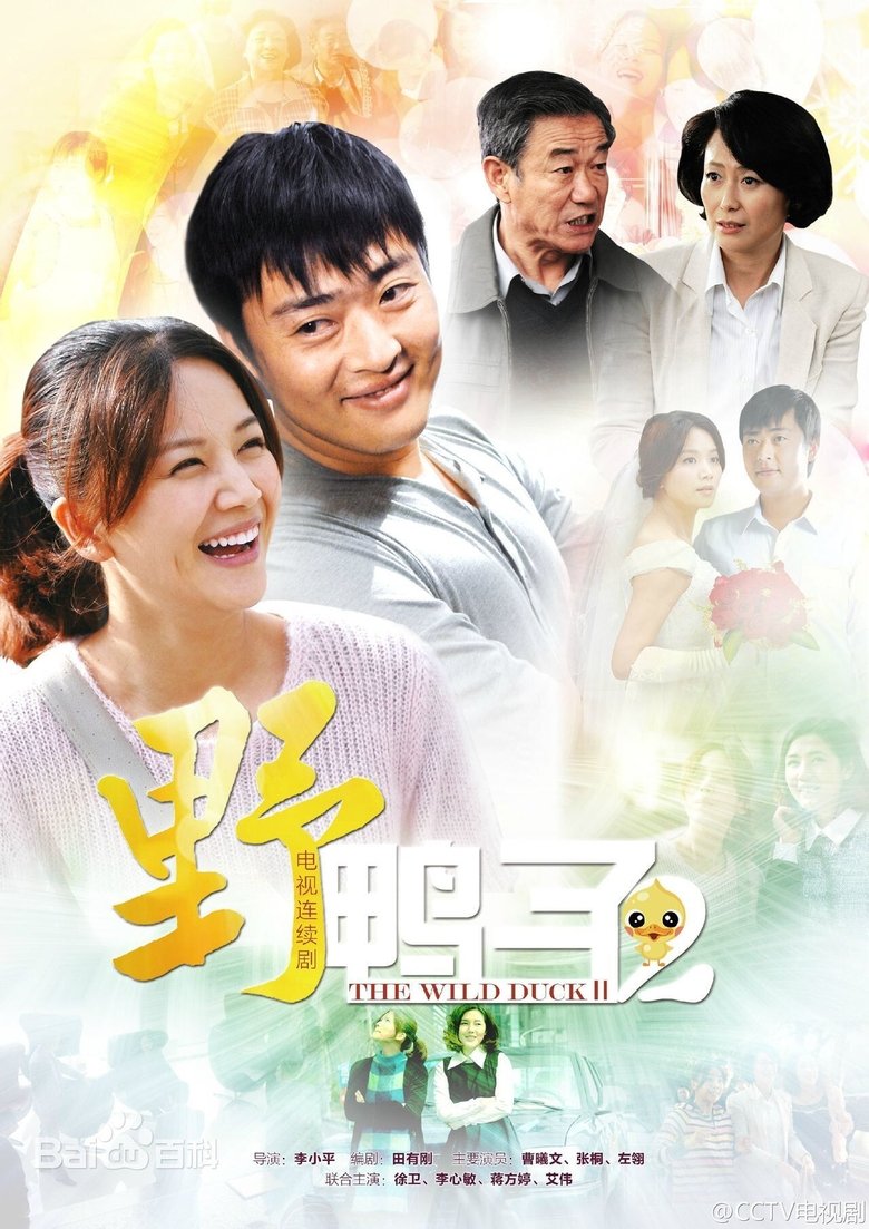 Poster of Episodes in 野鸭子 - Season 2 - Season 2