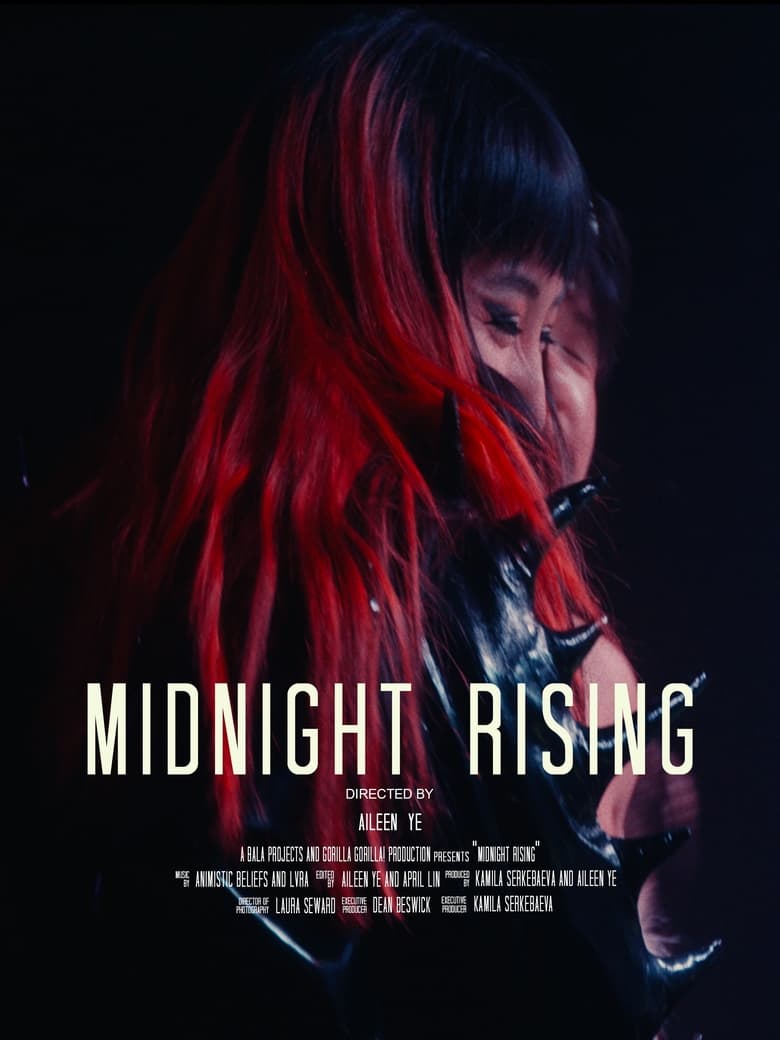 Poster of Midnight Rising