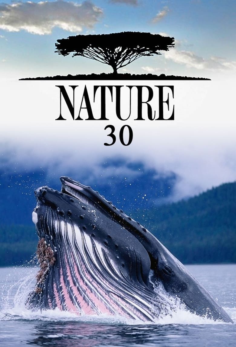 Poster of Episodes in Nature - Season 30 - Season 30