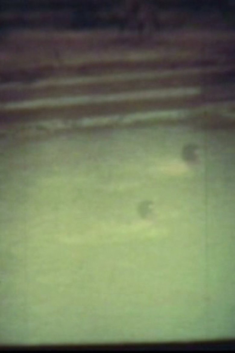 Poster of In The River