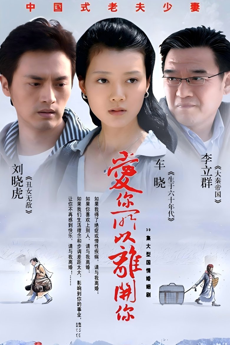 Poster of 爱你所以离开你