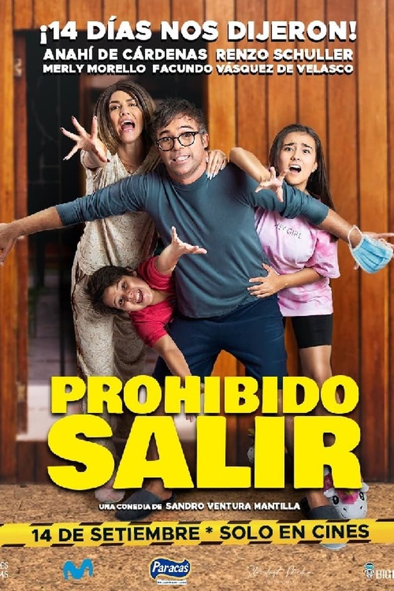 Poster of Prohibido salir