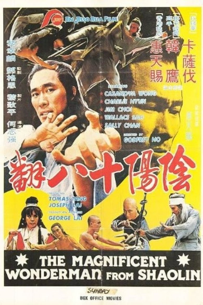 Poster of Magnificent Wonderman
