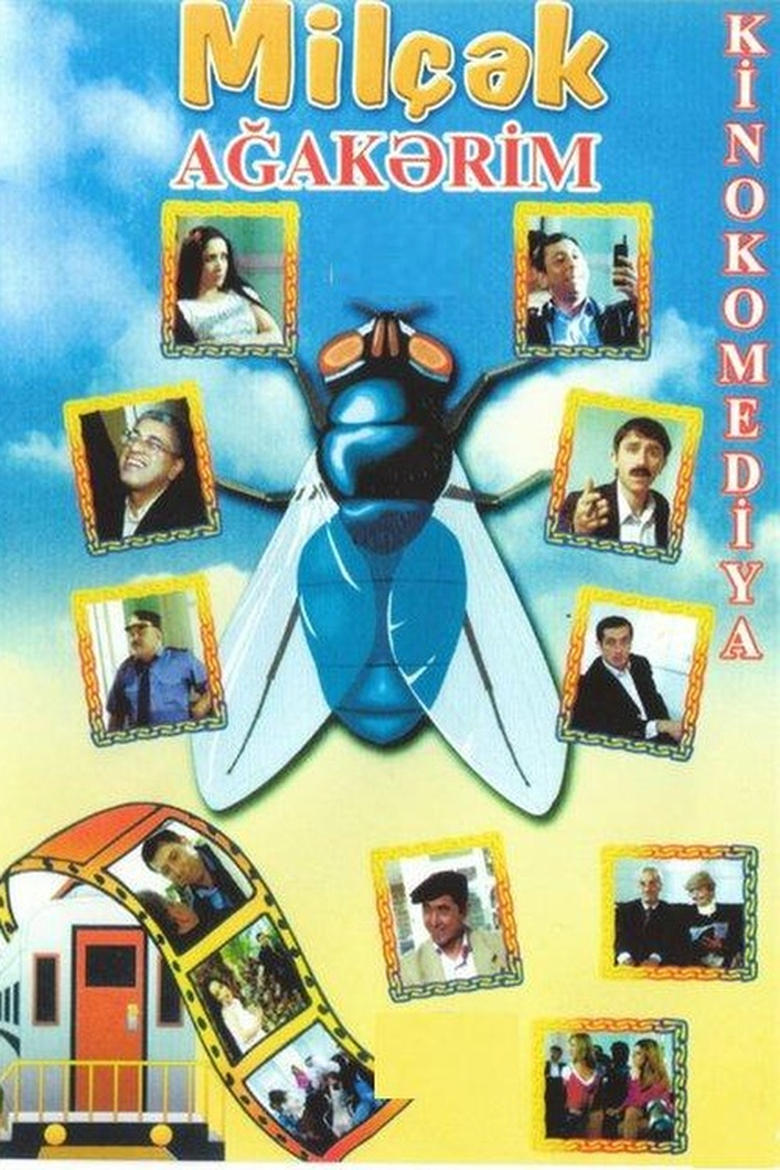 Poster of Fly