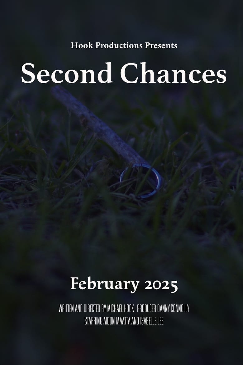 Poster of Second Chances