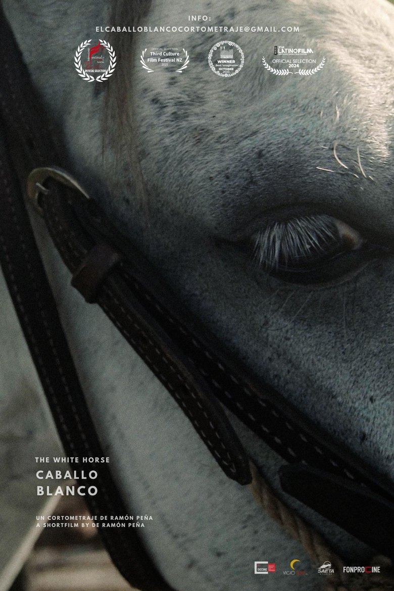 Poster of The White Horse