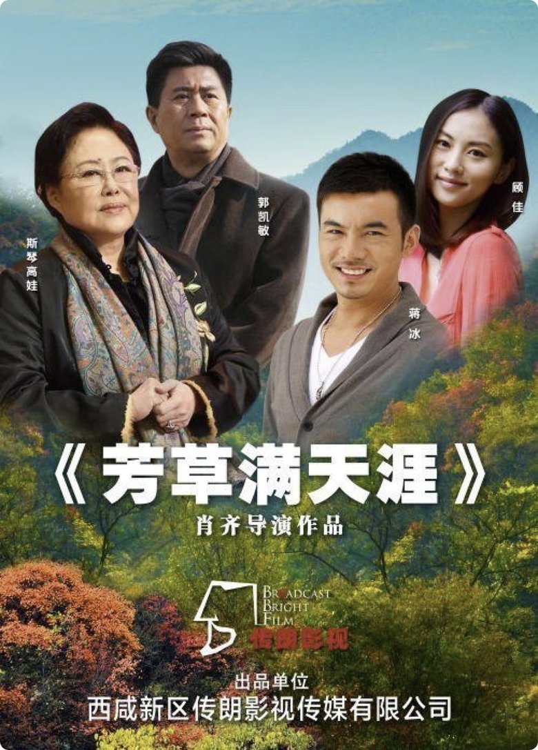 Poster of 芳草满天涯