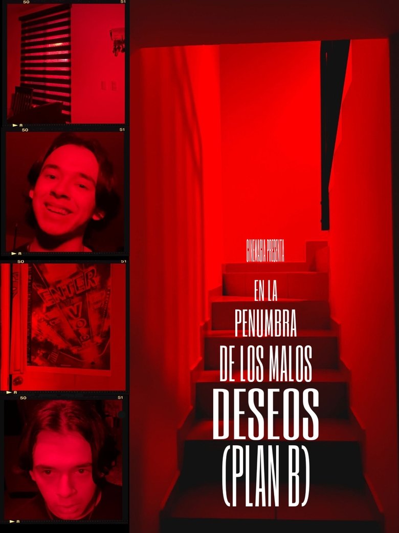 Poster of EN LA PENUMBRA DE LOS MALOS DESEOS (PLAN B)