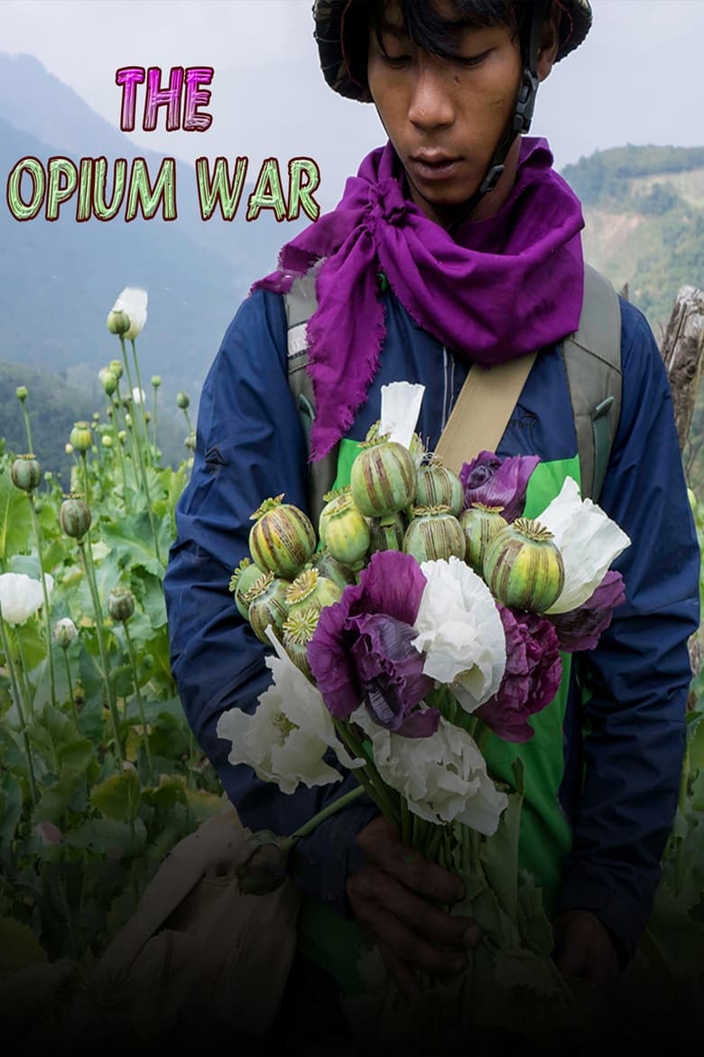 Poster of The Opium War