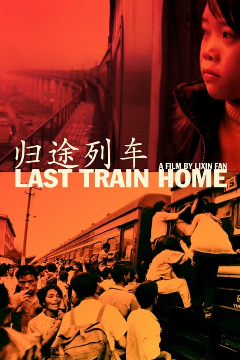 Poster of Last Train Home